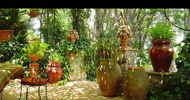 La terrasse