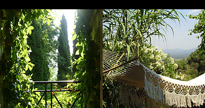 View of the mountains, from the house